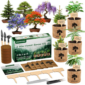 PLANTMEW bonsai starter kit packaging shown for a gift-ready experience.