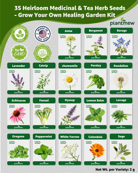 PLANTMEW borage seeds packet for pollinators and edible leaves