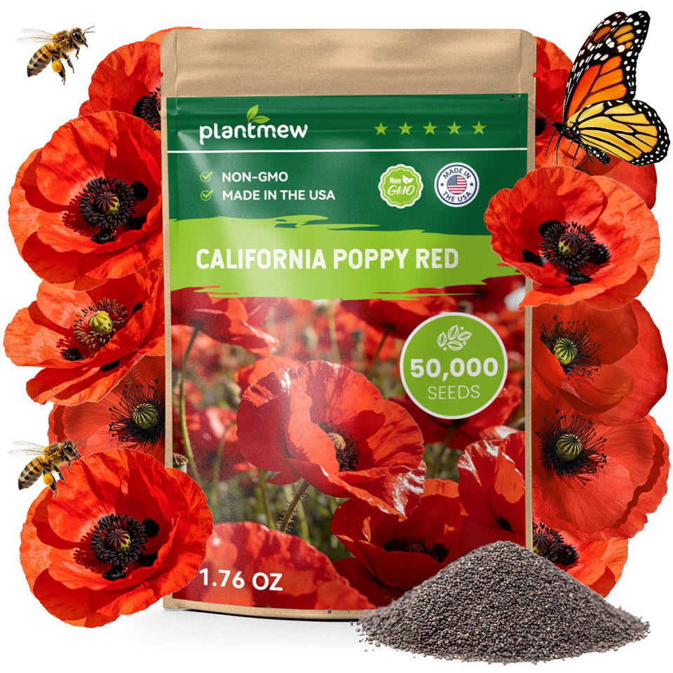 PLANTMEW bulk bag of California Poppy Seeds ready for planting in the garden