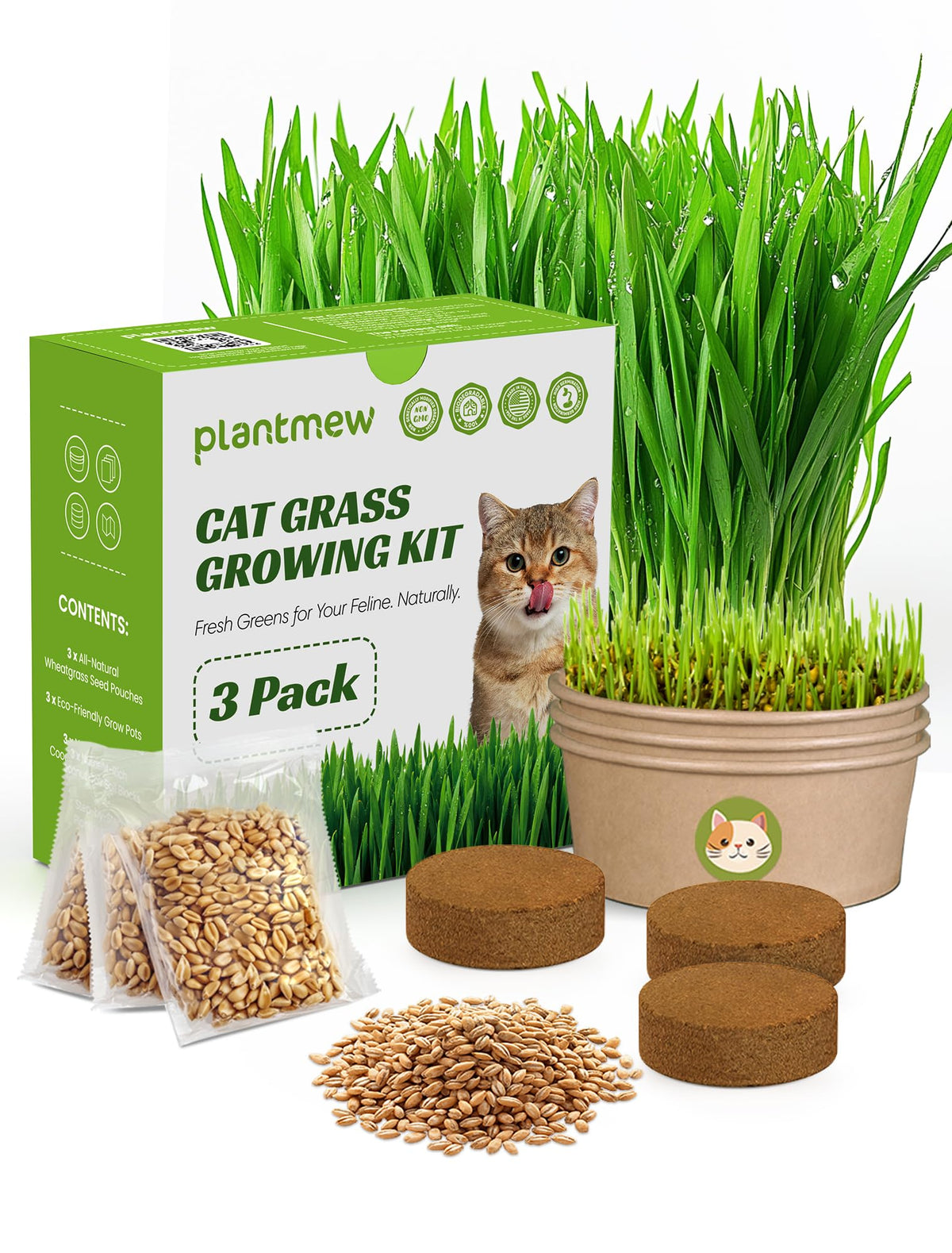 PLANTMEW Cat Grass Kit 3-pack box ready for quick indoor setup.