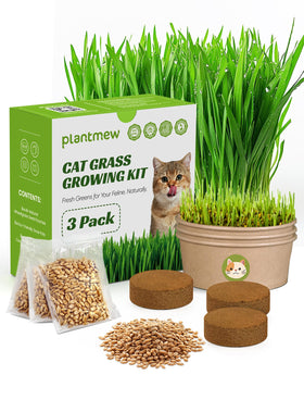 PLANTMEW Cat Grass Kit 3-pack box ready for quick indoor setup.