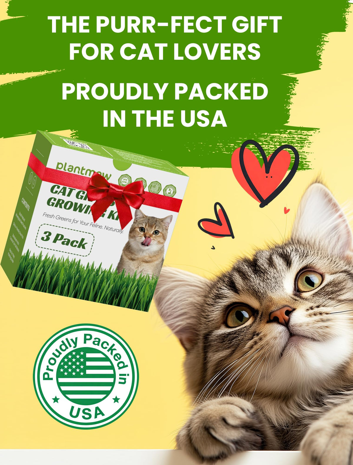 Cat enjoying PLANTMEW cat grass for natural enrichment.