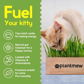PLANTMEW Cat Grass Kit complete set displayed with planter and tools.