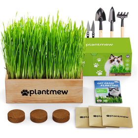 PLANTMEW Cat Grass Kit planter close-up with natural wood design for a tidy, pet-safe home.