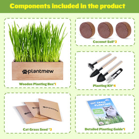 PLANTMEW Cat Grass Kit seeds pack close-up highlighting fast germination and sprouts.