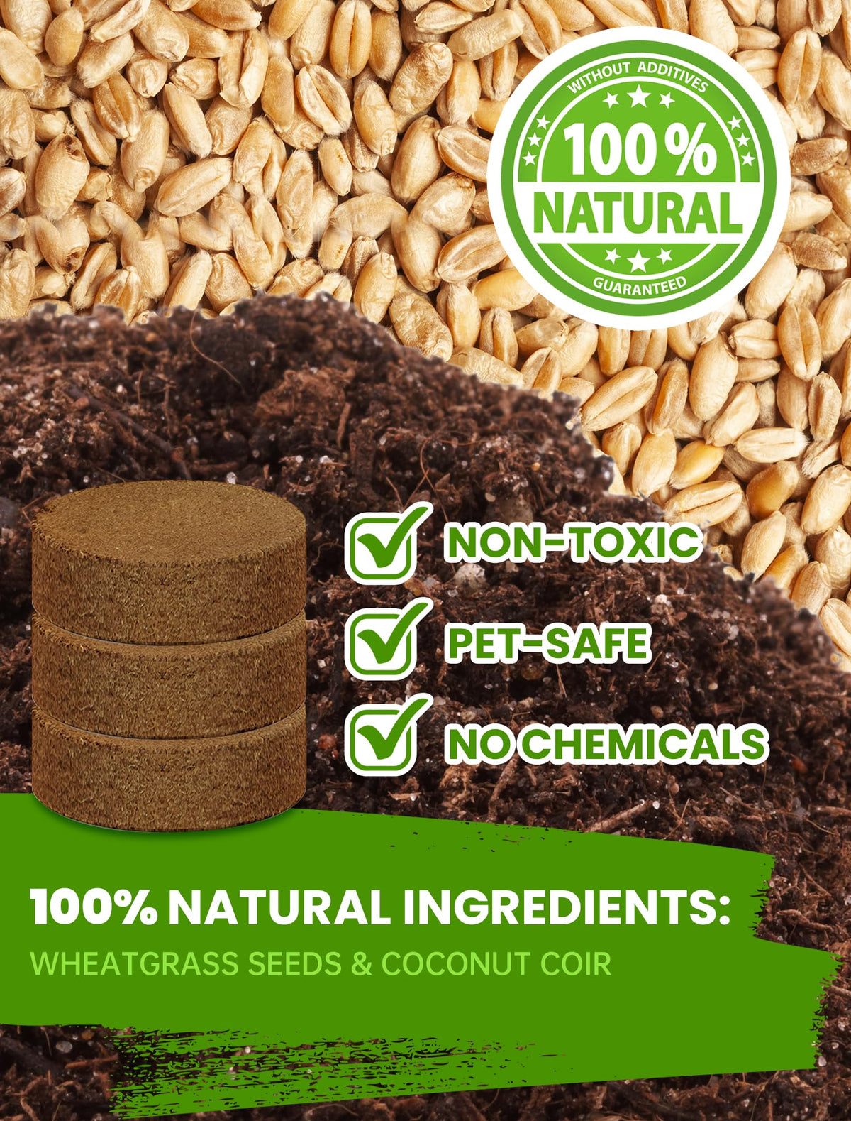 PLANTMEW soil discs for mess-free, ready-to-grow cat grass.