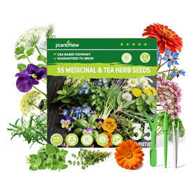 PLANTMEW catnip seeds packet for playful soothing herb in containers