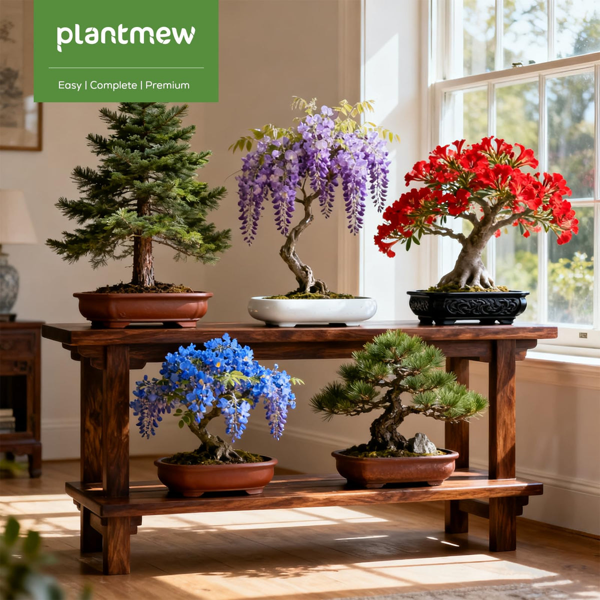 PLANTMEW complete bonsai starter kit enables quick home setup.