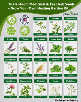 PlantMew echinacea seeds for flavorful herbal blends