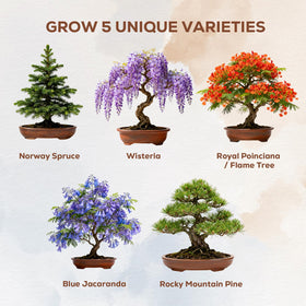 PLANTMEW eco-friendly jute pots ideal for sustainable bonsai planting.