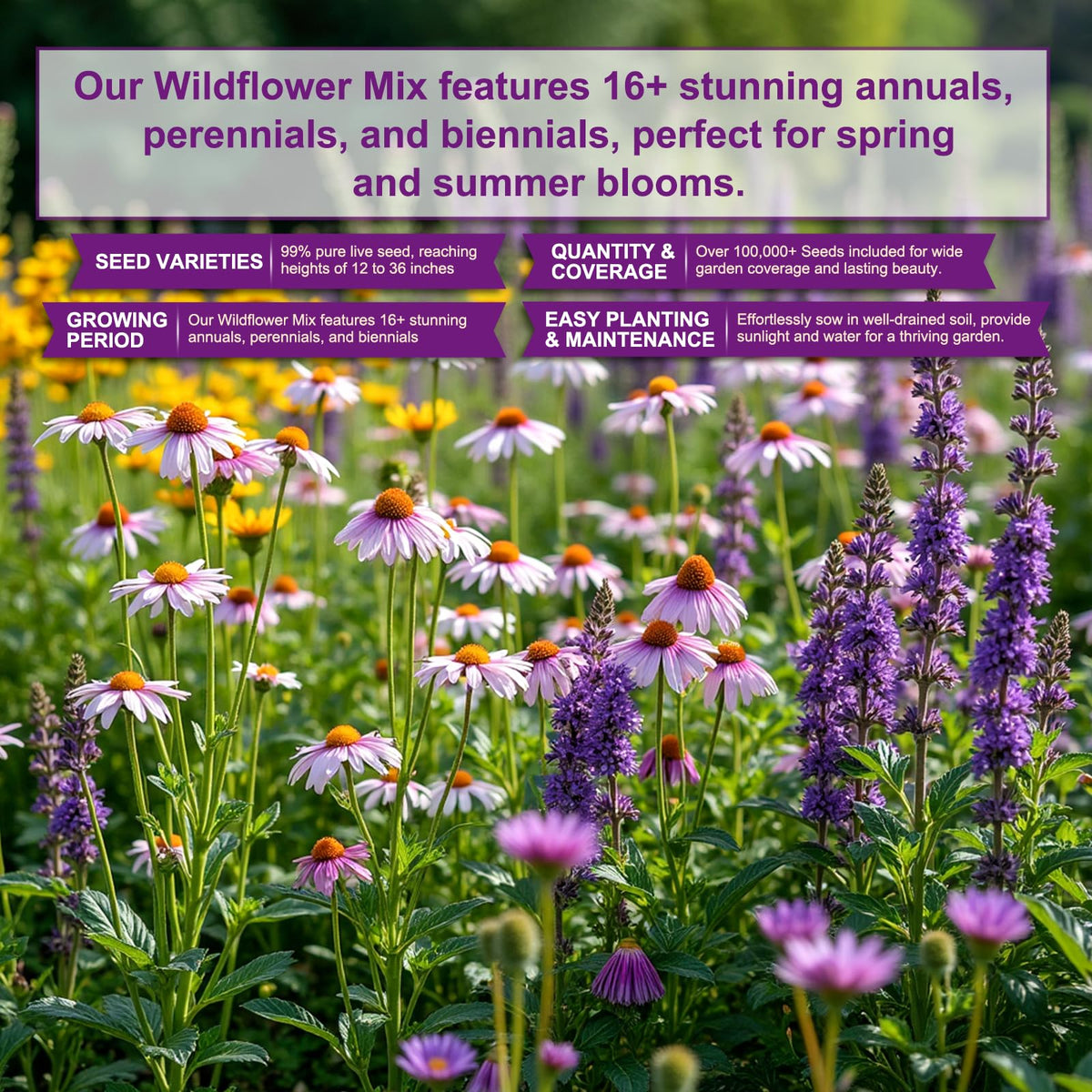 PLANTMEW fast-sprouting seed mix ideal for quick meadow plots