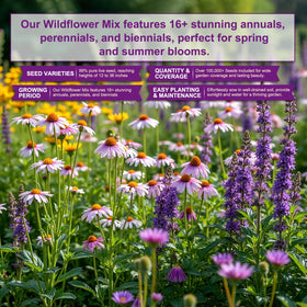 PLANTMEW fast-sprouting seed mix ideal for quick meadow plots