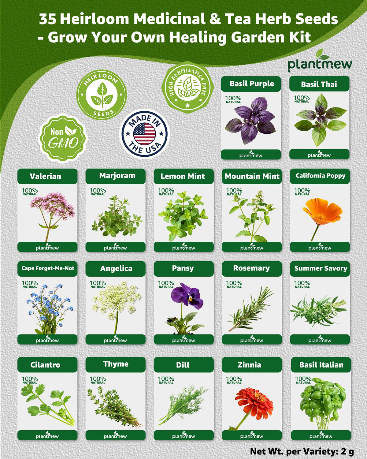 PLANTMEW fennel seeds packet to cultivate fragrant versatile herbs