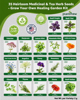 PLANTMEW fennel seeds packet to cultivate fragrant versatile herbs
