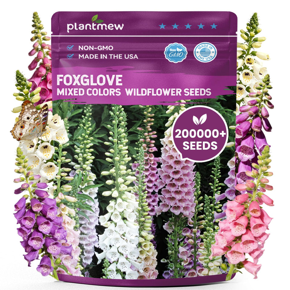 PLANTMEW Foxglove seeds bulk pack for colorful garden borders.
