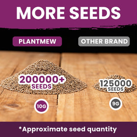 PLANTMEW foxglove self-seeds to maintain a natural look.