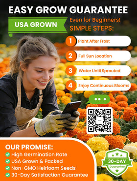 PLANTMEW full-sun drought-tolerant marigolds suit hot locations.