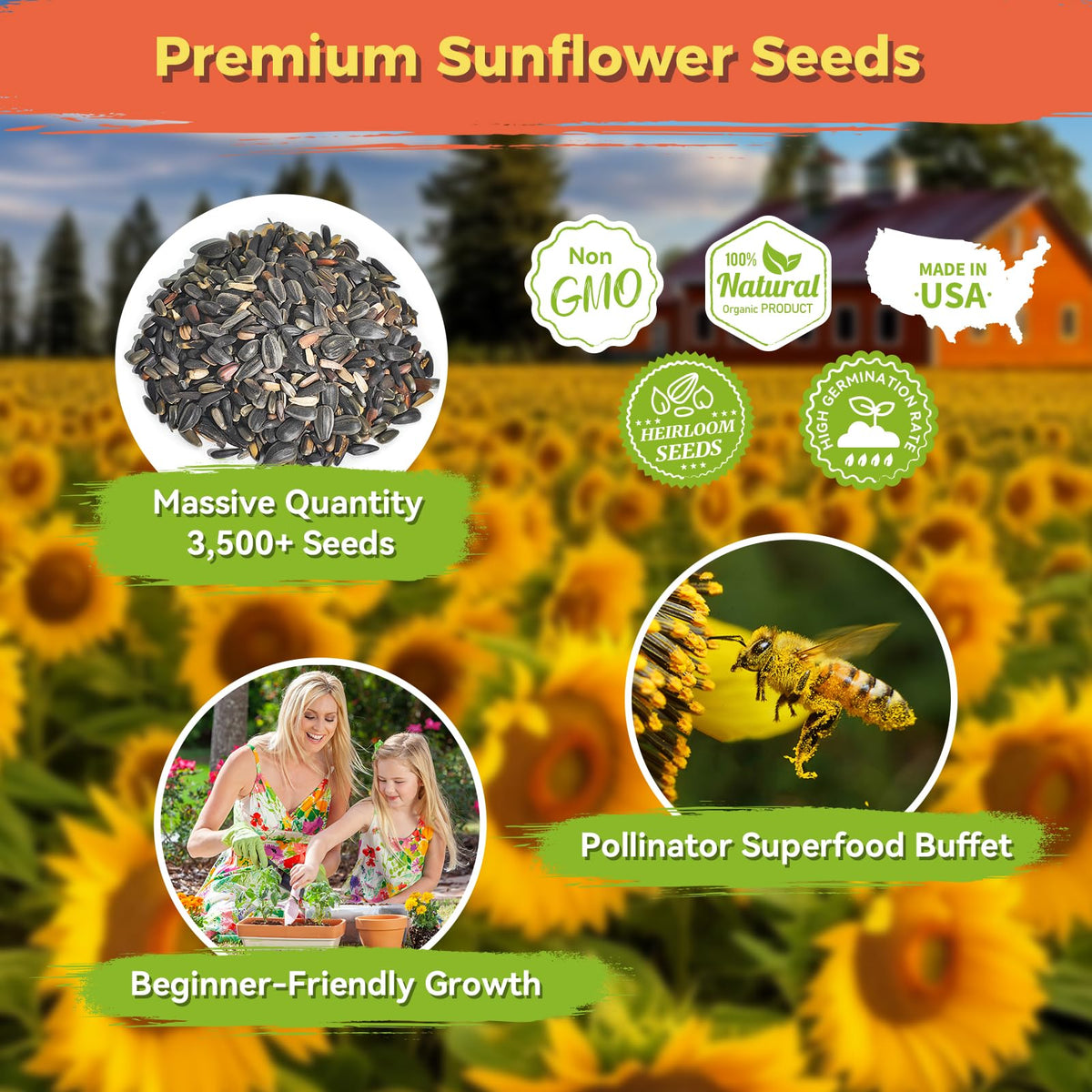 PlantMew garden sunflower planting setup image showing rows and soil readiness.