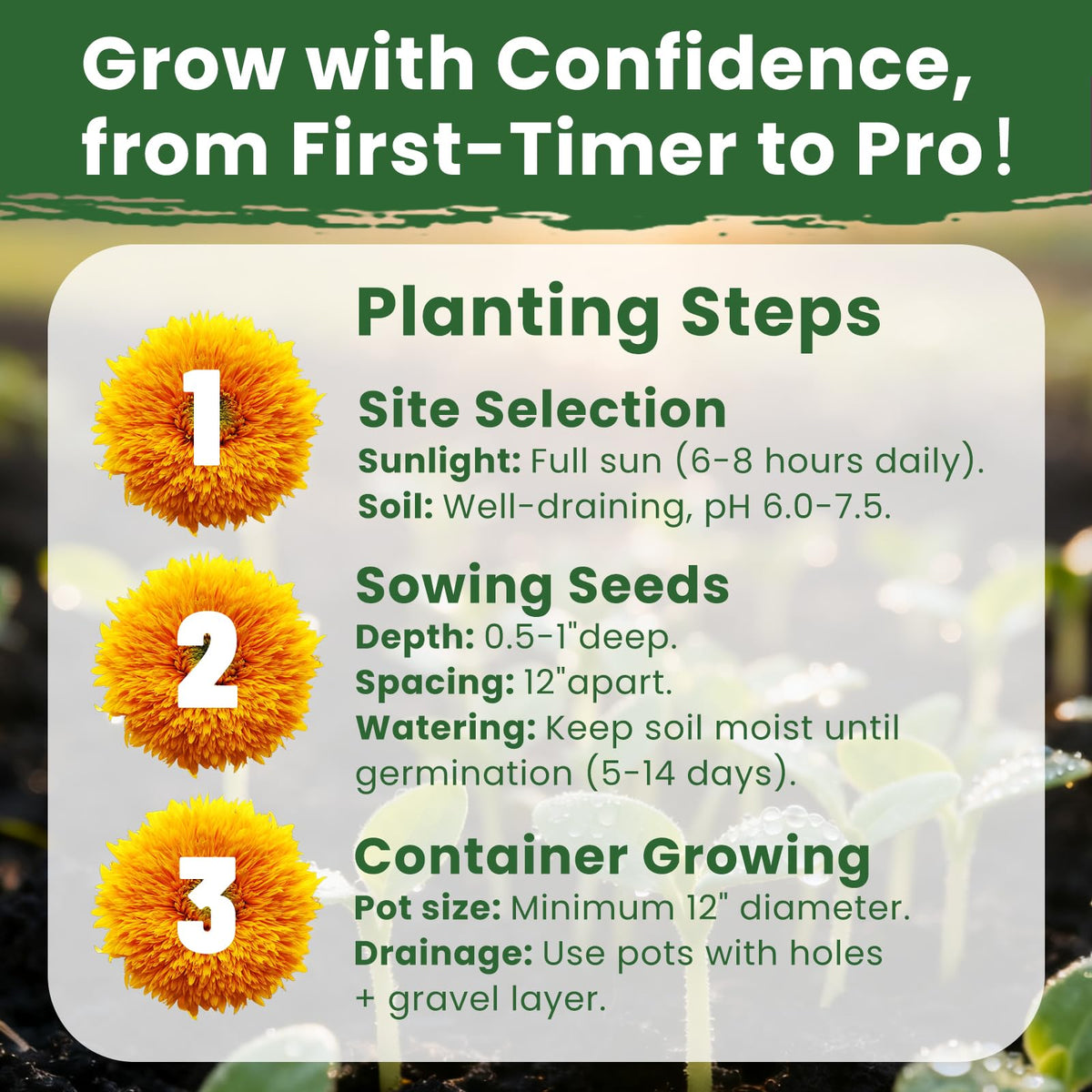 PLANTMEW gift-ready seeds suit garden lovers and seasonal surprise.