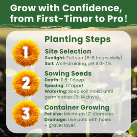 PLANTMEW gift-ready seeds suit garden lovers and seasonal surprise.