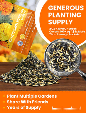 PlantMEW heirloom marigolds USA-grown with high germination and reliable color