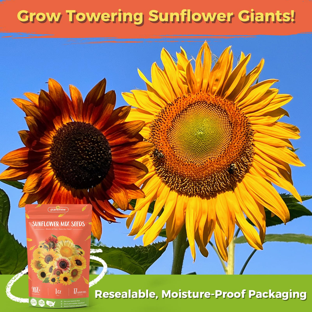 PlantMew heirloom sunflower varieties mix showing rainbow colors for a dynamic seasonal display.