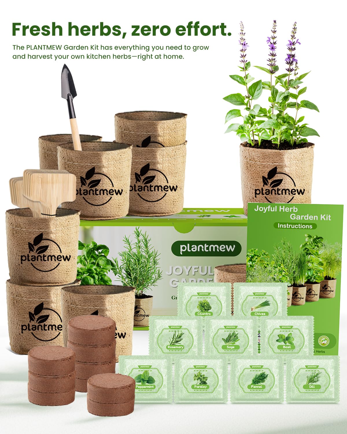 Seed mix including basil, rosemary, thyme for easy home gardening