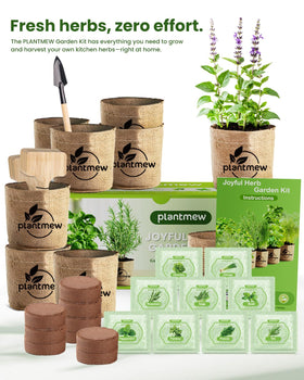 Seed mix including basil, rosemary, thyme for easy home gardening