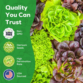 PLANTMEW lacinato kale leaf texture for hearty greens