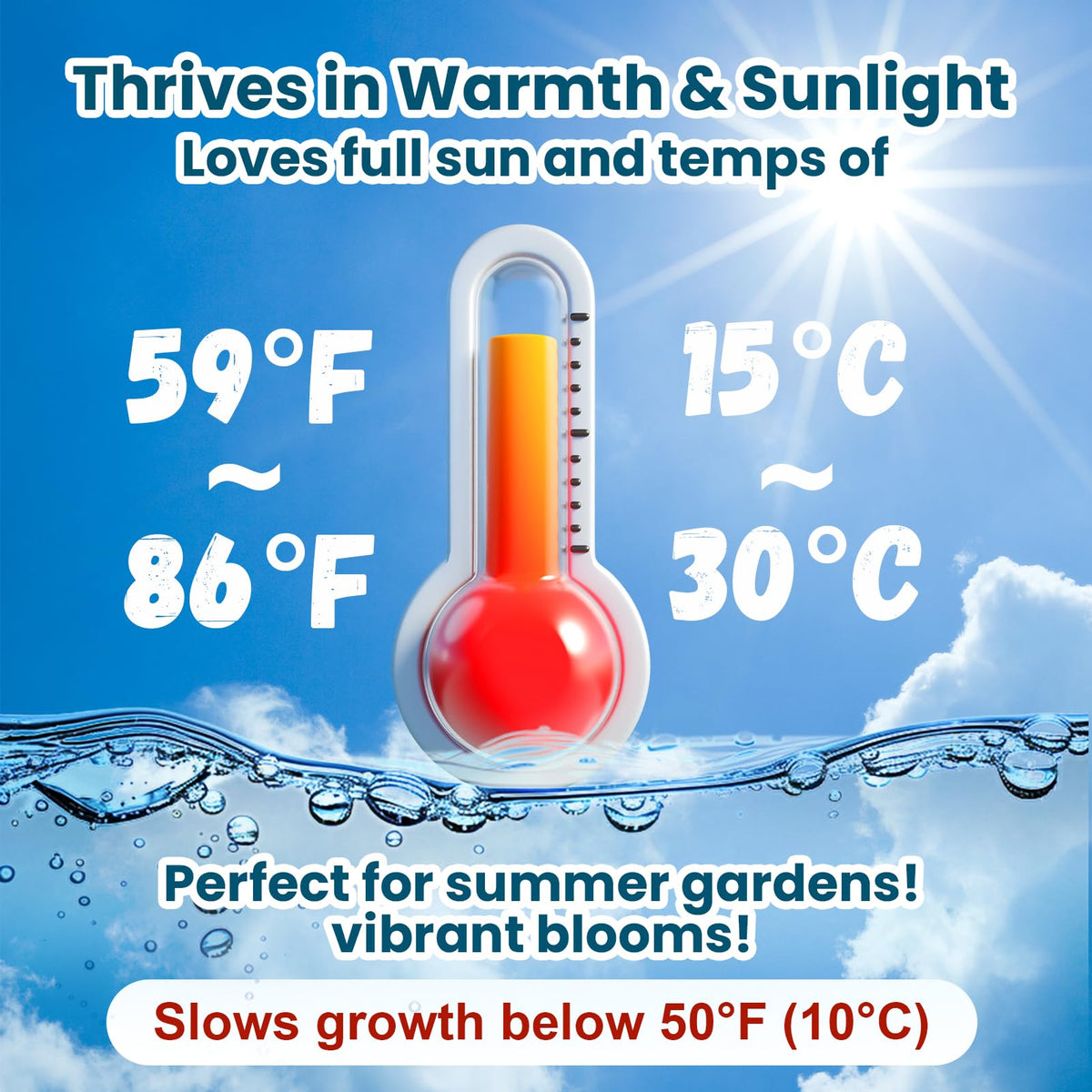 PLANTMEW beginner-friendly seeds simplify starting aquatic plants.