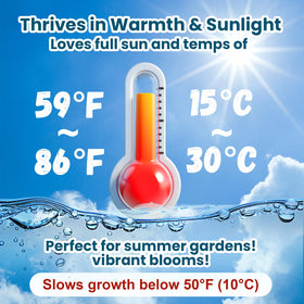 PLANTMEW beginner-friendly seeds simplify starting aquatic plants.