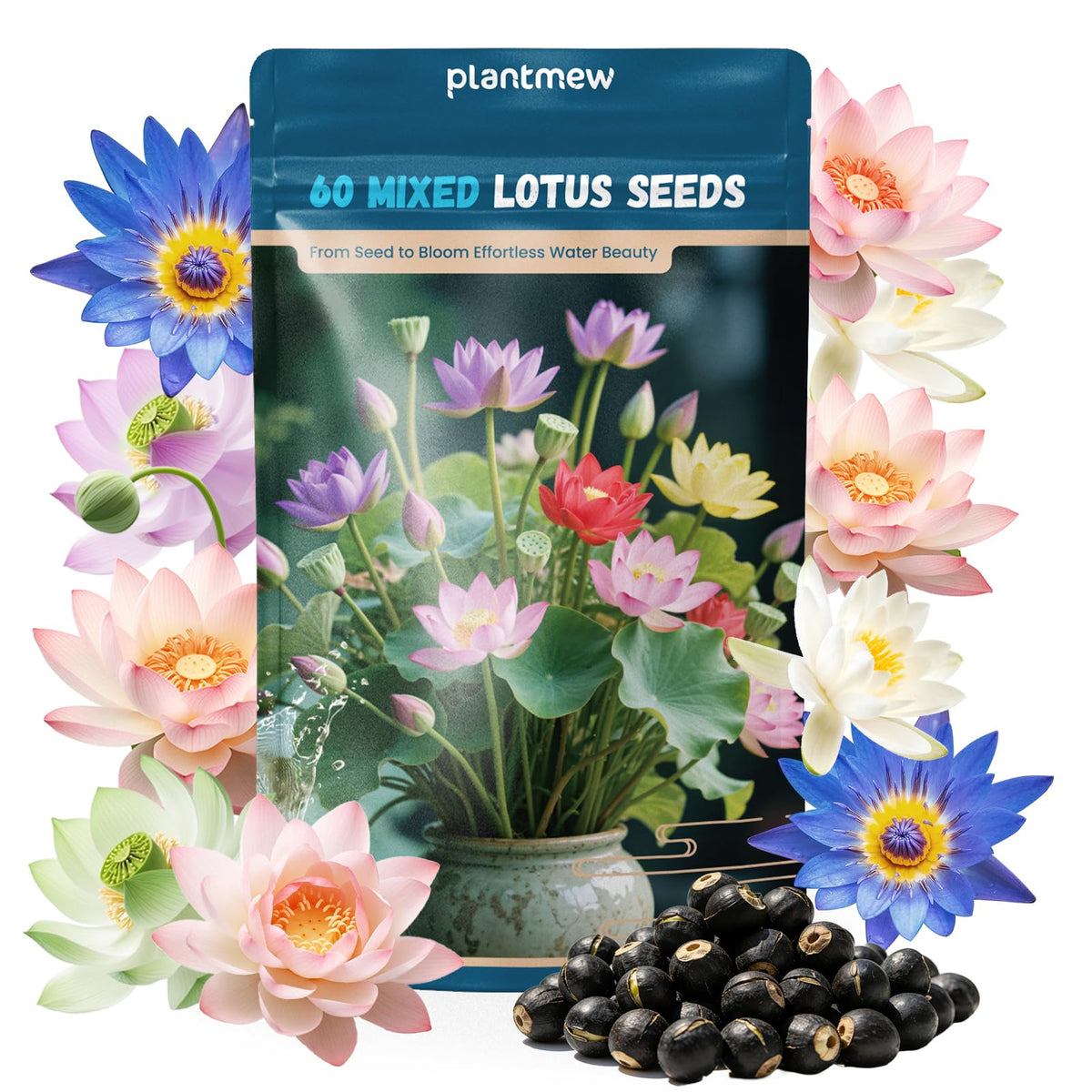 PLANTMEW lotus seeds for water-start enable easy pond germination.