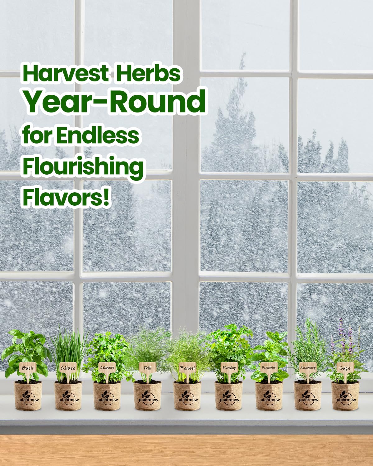 Plant markers keep herbs labeled and organized