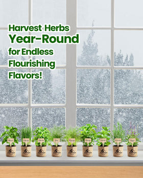 Plant markers keep herbs labeled and organized