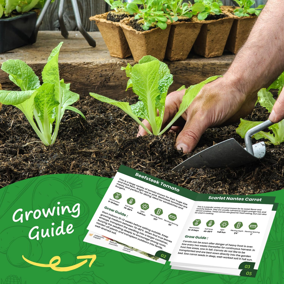 PlantMEW Marketmore cucumber seeds for crunchy homegrown cucumbers