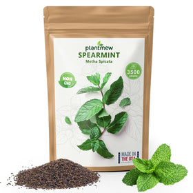 PlantMEW mint seeds packaging for home herb garden