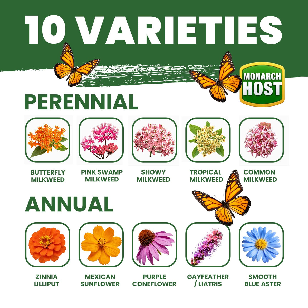 PLANTMEW monarch butterflies seed mix highlights nectar-rich planting for pollinators