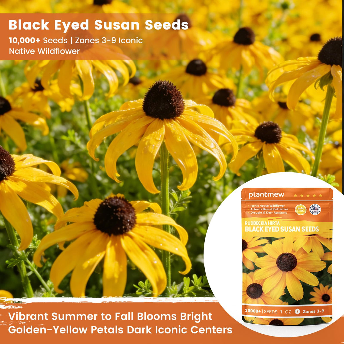 PLANTMEW open-pollinated seeds with a growing guide for confident planting