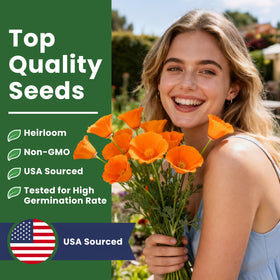 PLANTMEW vibrant orange poppy blooms brighten the garden and attract beneficial insects.