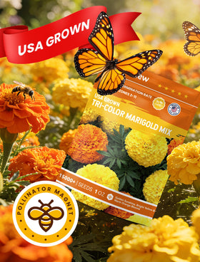 PLANTMEW pest-deterrent marigolds help protect nearby plants.