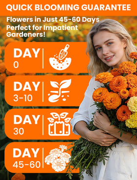 PLANTMEW pollinator-friendly blooms attract bees and butterflies.