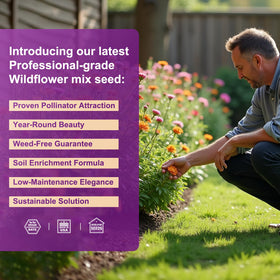 PLANTMEW pollinator garden setup with blossoms and hummingbirds