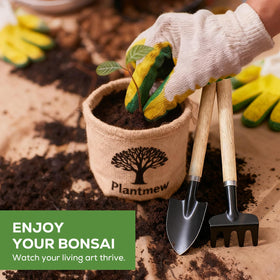 PLANTMEW detailed planting guide for beginner bonsai success.