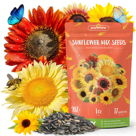PlantMew bulk sunflower seed packet front with 17+ varieties for vibrant garden color.