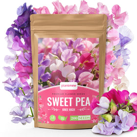 PlantMEW Sweet Pea Seeds pack offering easy-start gardening for beginners.