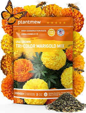 PlantMEW tri-color marigold seeds bulk for fast, vibrant garden color