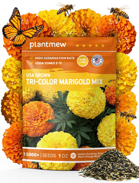 PLANTMEW tri-color marigold seeds pack brighten sunny borders.