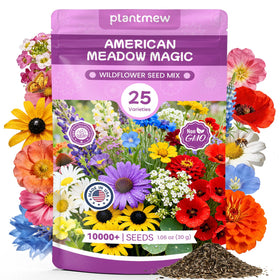 PLANTMEW wildflower bulk seed packet ready to sow for vibrant beds.