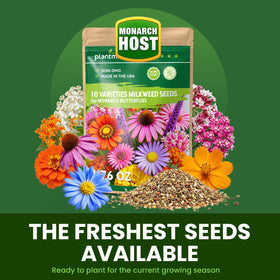 PLANTMEW wildflower meadow seed mix showcases vibrant long-season blooms