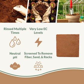 Plantonix Buffered Coco Bliss block expands in water, ideal for soil amendment.